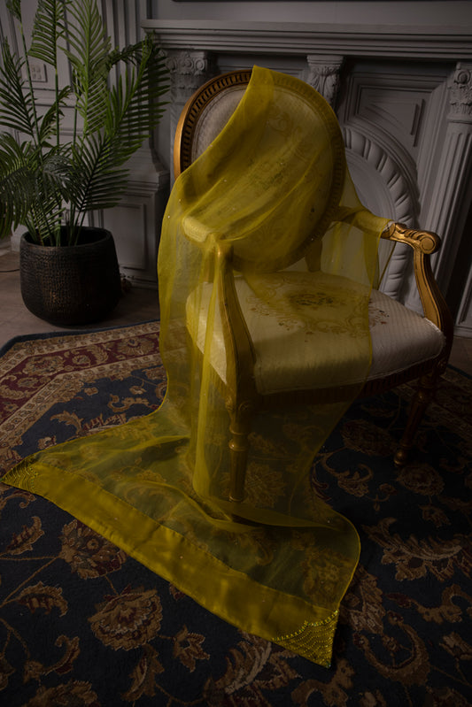 SFR-006AD DUPATTA